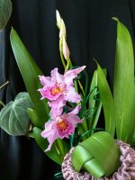 IMG_20250920_130353.jpg