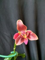 IMG_20250920_132659.jpg