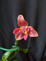 IMG_20250920_132555.jpg