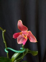 IMG_20250920_132540.jpg