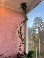 IMG_0627.jpeg