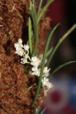 1000140147.jpg 1000140147.jpg