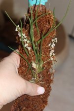 1000140032.jpg 1000140032.jpg