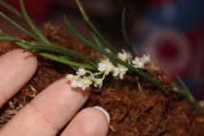 1000140044.jpg 1000140044.jpg