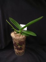 IMG_20251028_185424.jpg IMG_20251028_185424.jpg