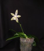 IMG_20251028_185831.jpg IMG_20251028_185831.jpg