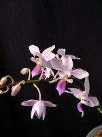 IMG_20251106_114315.jpg IMG_20251106_114315.jpg