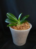 IMG_20251108_100236.jpg IMG_20251108_100236.jpg