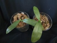 IMG_20251108_100840.jpg IMG_20251108_100840.jpg