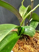 IMG_20251128_134905.jpg IMG_20251128_134905.jpg