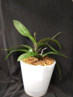 IMG_20251128_135228.jpg IMG_20251128_135228.jpg