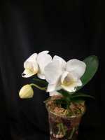 IMG_20251203_132257.jpg IMG_20251203_132257.jpg