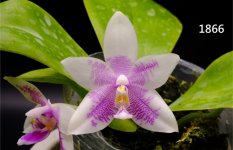 IMG_20251205_161823.jpg IMG_20251205_161823.jpg