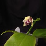 IMG_20251205_161623.jpg IMG_20251205_161623.jpg