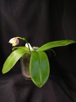 IMG_20251205_161520.jpg IMG_20251205_161520.jpg