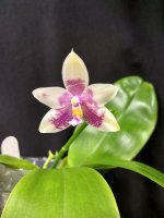 IMG_20251206_145702.jpg IMG_20251206_145702.jpg