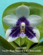 IMG_20251206_151214.jpg IMG_20251206_151214.jpg