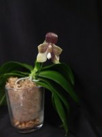 IMG_20251210_203511.jpg IMG_20251210_203511.jpg