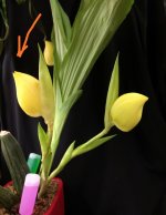 IMG_20251213_220305.jpg IMG_20251213_220305.jpg