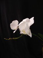 IMG_20251227_221331.jpg IMG_20251227_221331.jpg