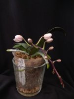 IMG_20260105_120151.jpg IMG_20260105_120151.jpg