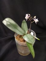 IMG_20260106_073349.jpg IMG_20260106_073349.jpg