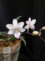 IMG_20260106_081447.jpg IMG_20260106_081447.jpg