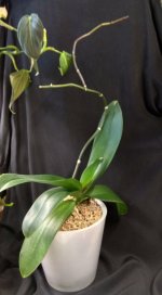 IMG_20260110_111221.jpg IMG_20260110_111221.jpg