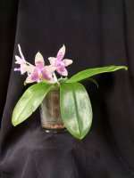 IMG_20260122_181949.jpg IMG_20260122_181949.jpg