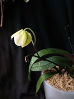 IMG_20260201_134354.jpg IMG_20260201_134354.jpg