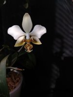 IMG_20260203_130456.jpg IMG_20260203_130456.jpg