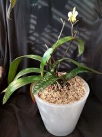 IMG_20260203_132722.jpg IMG_20260203_132722.jpg