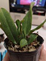 IMG_20260220_191508.jpg IMG_20260220_191508.jpg