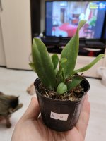 IMG_20260220_191502.jpg IMG_20260220_191502.jpg