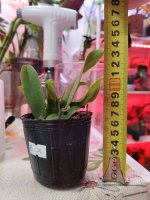 IMG_20260220_191806.jpg IMG_20260220_191806.jpg