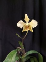 IMG_20260224_175913.jpg IMG_20260224_175913.jpg