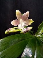 IMG_20260316_124556.jpg IMG_20260316_124556.jpg