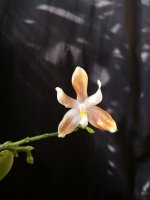 IMG_20260320_161816.jpg IMG_20260320_161816.jpg