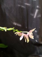 IMG_20260320_162731.jpg IMG_20260320_162731.jpg