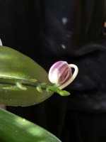 IMG_20260320_162846.jpg IMG_20260320_162846.jpg