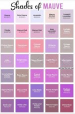 IMG_20260320_163520.jpg IMG_20260320_163520.jpg