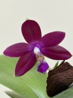 IMG_1476.jpeg IMG_1476.jpeg