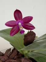 image-22-03-26-05-56-1.jpeg image-22-03-26-05-56-1.jpeg