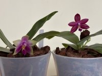 image-22-03-26-05-21-4.jpeg image-22-03-26-05-21-4.jpeg