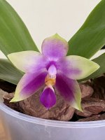 IMG_1478.jpeg IMG_1478.jpeg