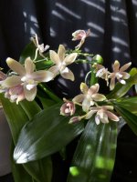 IMG_20260322_152008.jpg IMG_20260322_152008.jpg