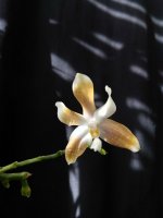 IMG_20260322_152701.jpg IMG_20260322_152701.jpg