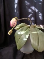 IMG_20260322_153838.jpg IMG_20260322_153838.jpg