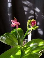 IMG_20260322_154258.jpg IMG_20260322_154258.jpg