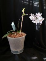 IMG_20260325_163251.jpg IMG_20260325_163251.jpg